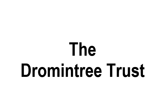 The Dromintree Trust, name of a supporter of Steps Conductive Education Centre